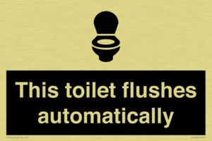 This toilet flushes automatically